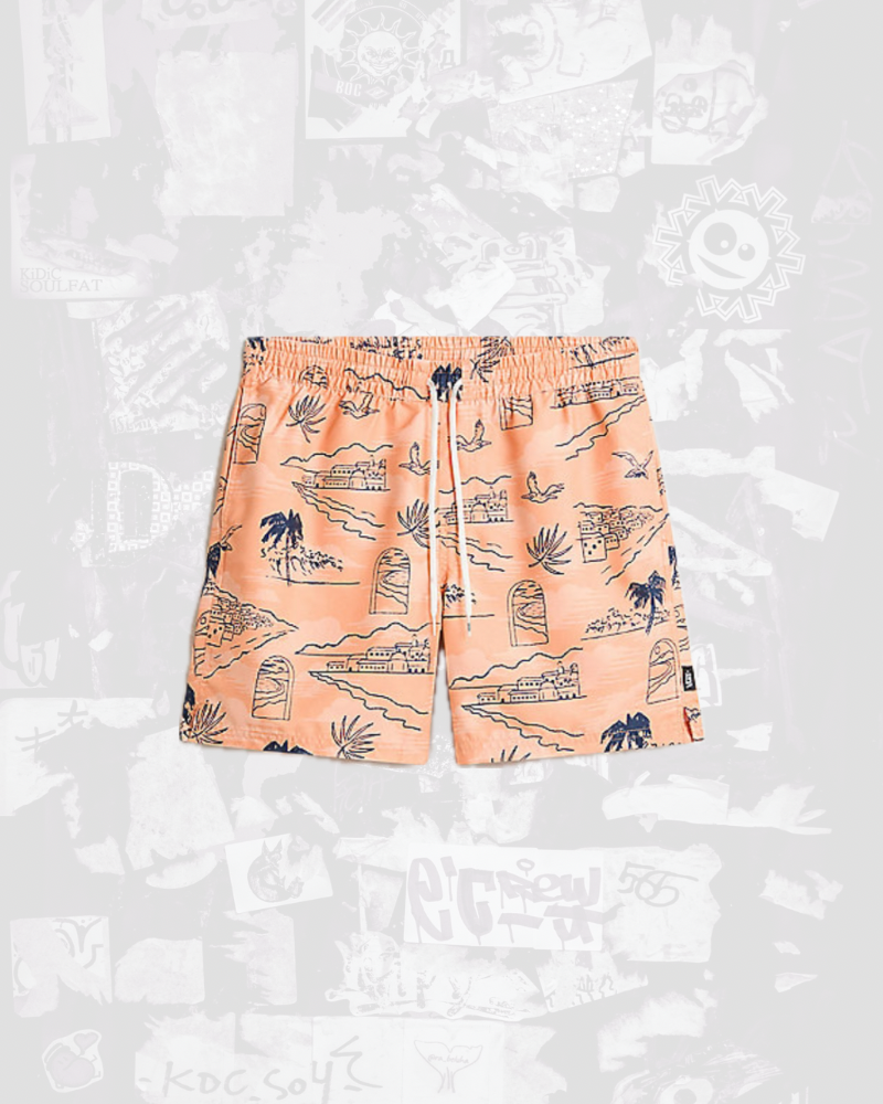 Pantaloncini Costume Vans Primary Print